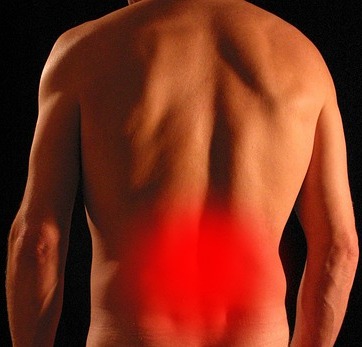 Meine Schwerpunkte sind: Rückenschmerzen, chronische Schmerzen wie Fibromyalgie, Kniearthrose, Hüftarthrose, Ernährungsberatung für vegane/vegetarische Ernährung, toxische Beziehungen und narzisstische Partner, Burnout, Boreout, Depression, Hilfe bei Mobbing, Traumabewältigung, Traumatherapie, Ängste bei Jugendlichen, Support für Sportler   Meine Gruppekurse: Meditation, Rückengymnastik, Chakrayoga, Faszientraining