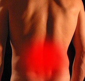 Meine Schwerpunkte sind: Rückenschmerzen, chronische Schmerzen wie Fibromyalgie, Kniearthrose, Hüftarthrose, Ernährungsberatung für vegane/vegetarische Ernährung, toxische Beziehungen und narzisstische Partner, Burnout, Boreout, Depression, Hilfe bei Mobbing, Traumabewältigung, Traumatherapie, Ängste bei Jugendlichen, Support für Sportler   Meine Gruppekurse: Meditation, Rückengymnastik, Chakrayoga, Faszientraining