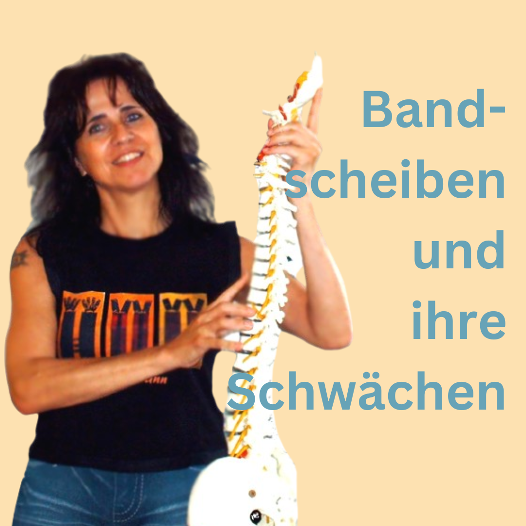 Bandscheiben und ihre Schwächen