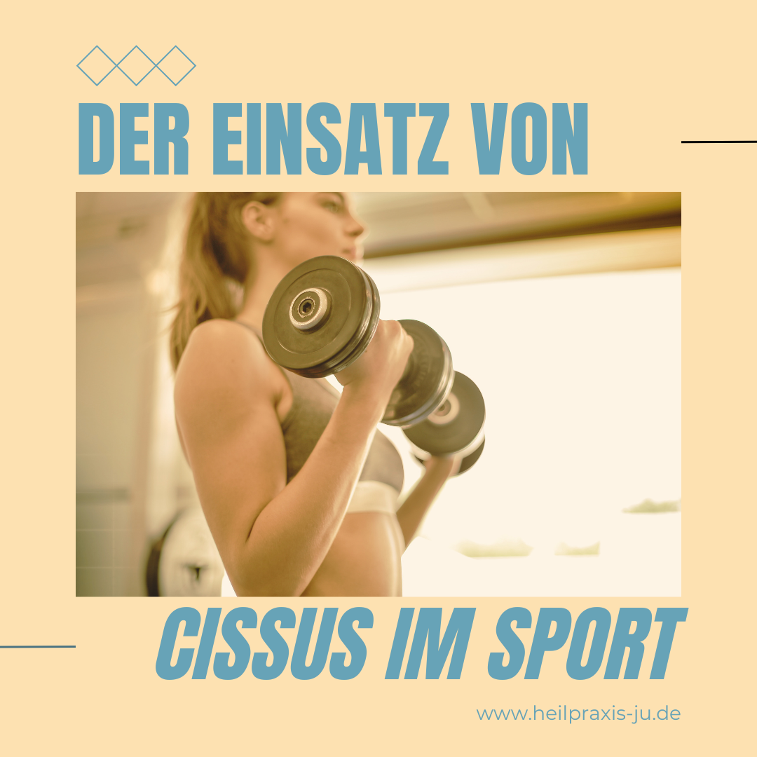 Sport - Cissus