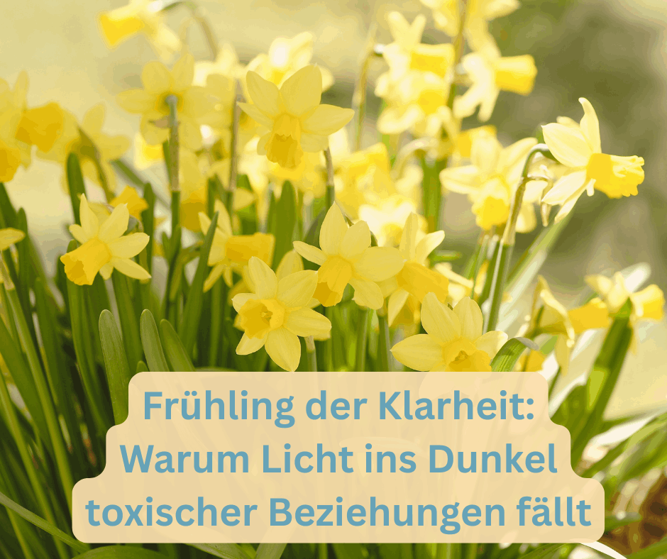 Toxische Beziehungen - Licht ins Dunkel