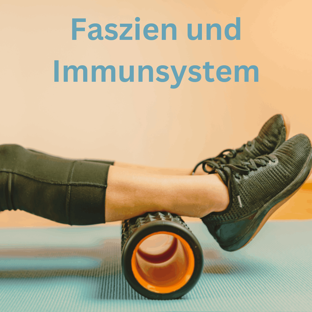 Faszien und Immunsystem