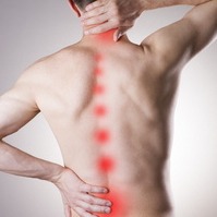 Chronische Rueckenschmerzen Chronische Schmerzen Fibromyalgie Makuladegeneration (AMD) Ernaehrungsberatung für vegane/vegetarische Ernährung Aengste bei Jugendlichen Mobbingberatung Burnout/Boreout/Stress Traumabewaeltigung Depression