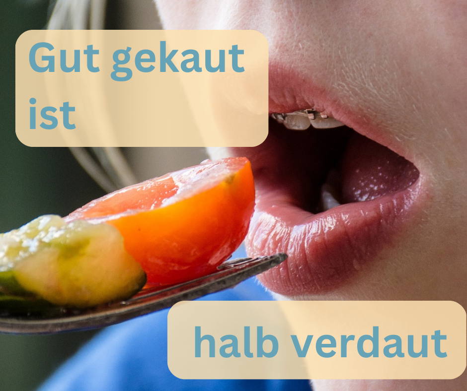 Gut gekaut halb verdaut