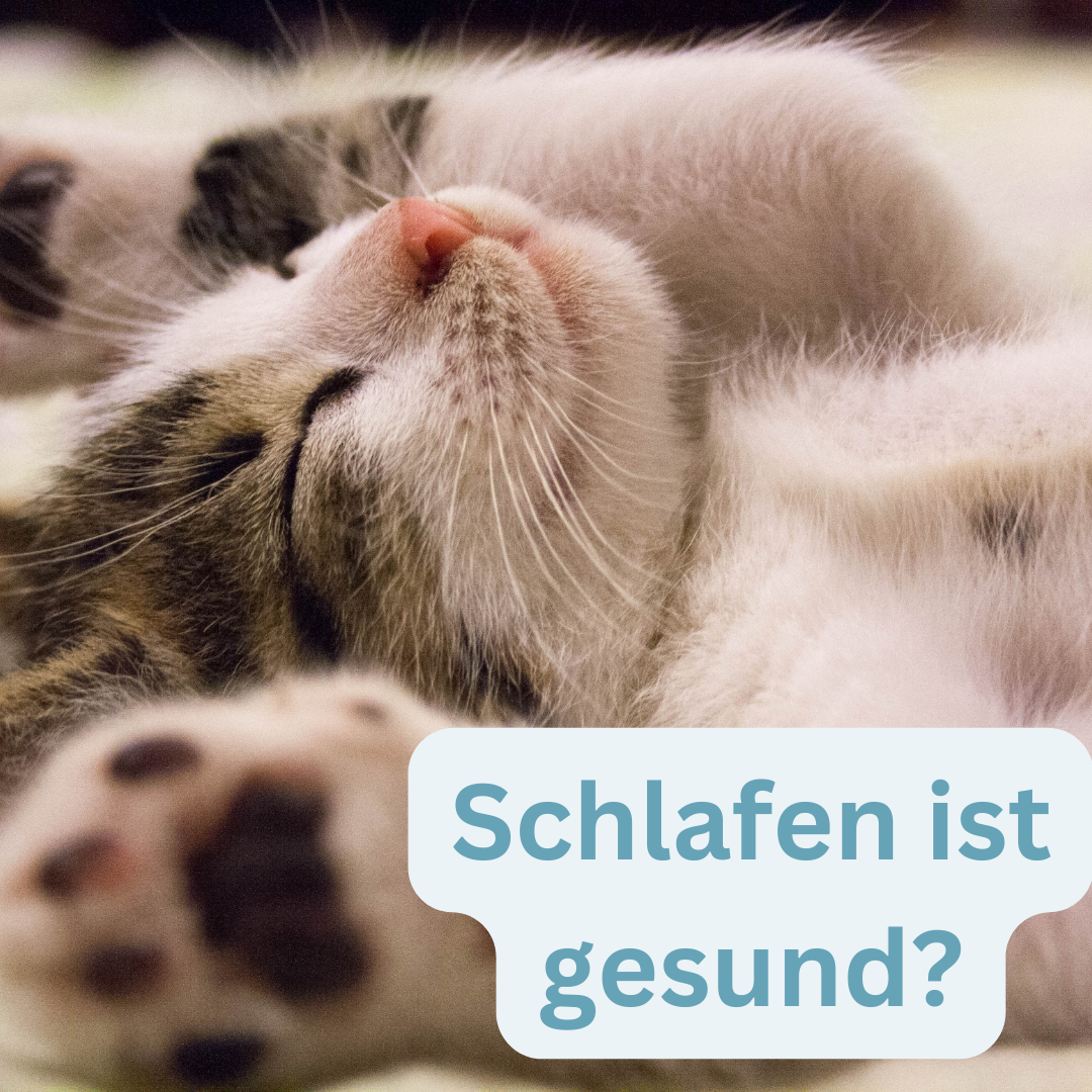 Schlafen ist gesund