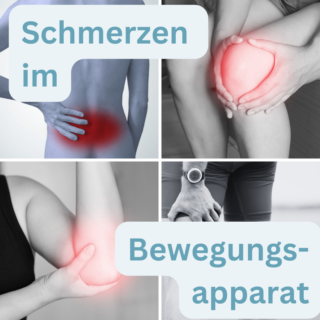 Schmerzen, Bewegungsapparat