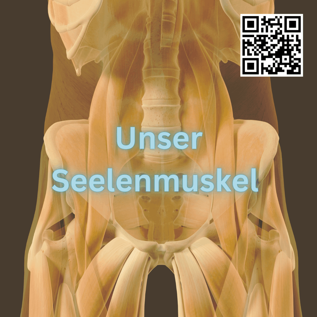 Unser Seelenmuskel