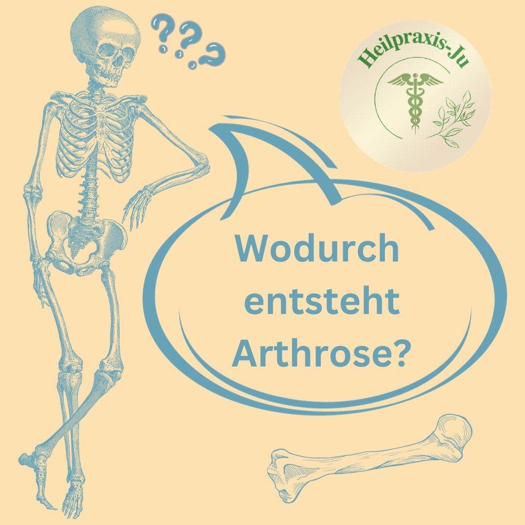 Arthrose  - Entstehung